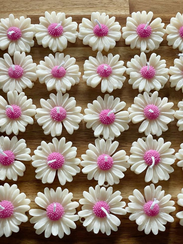 شمع گل بابونه