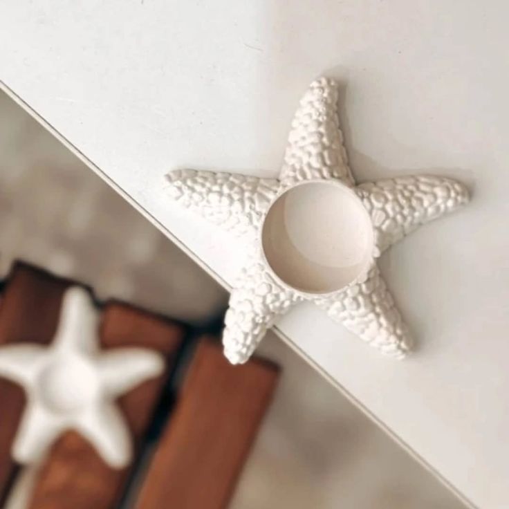 جا وارمر ستاره دریایی